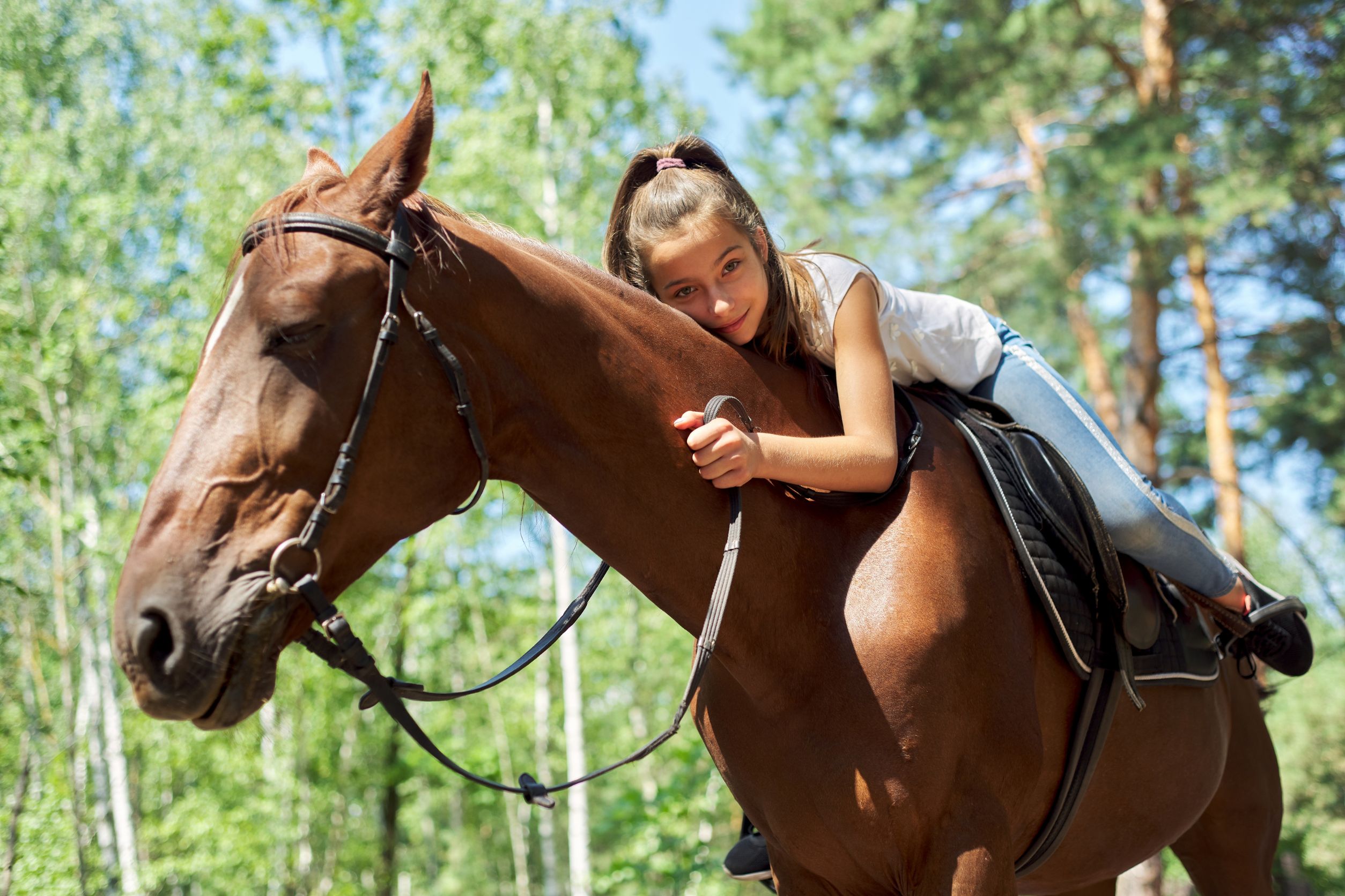 Horses Majestic and Faithful