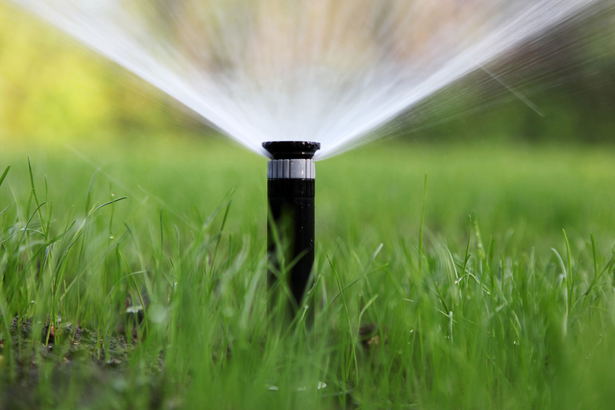 Overwatering Your Lawn