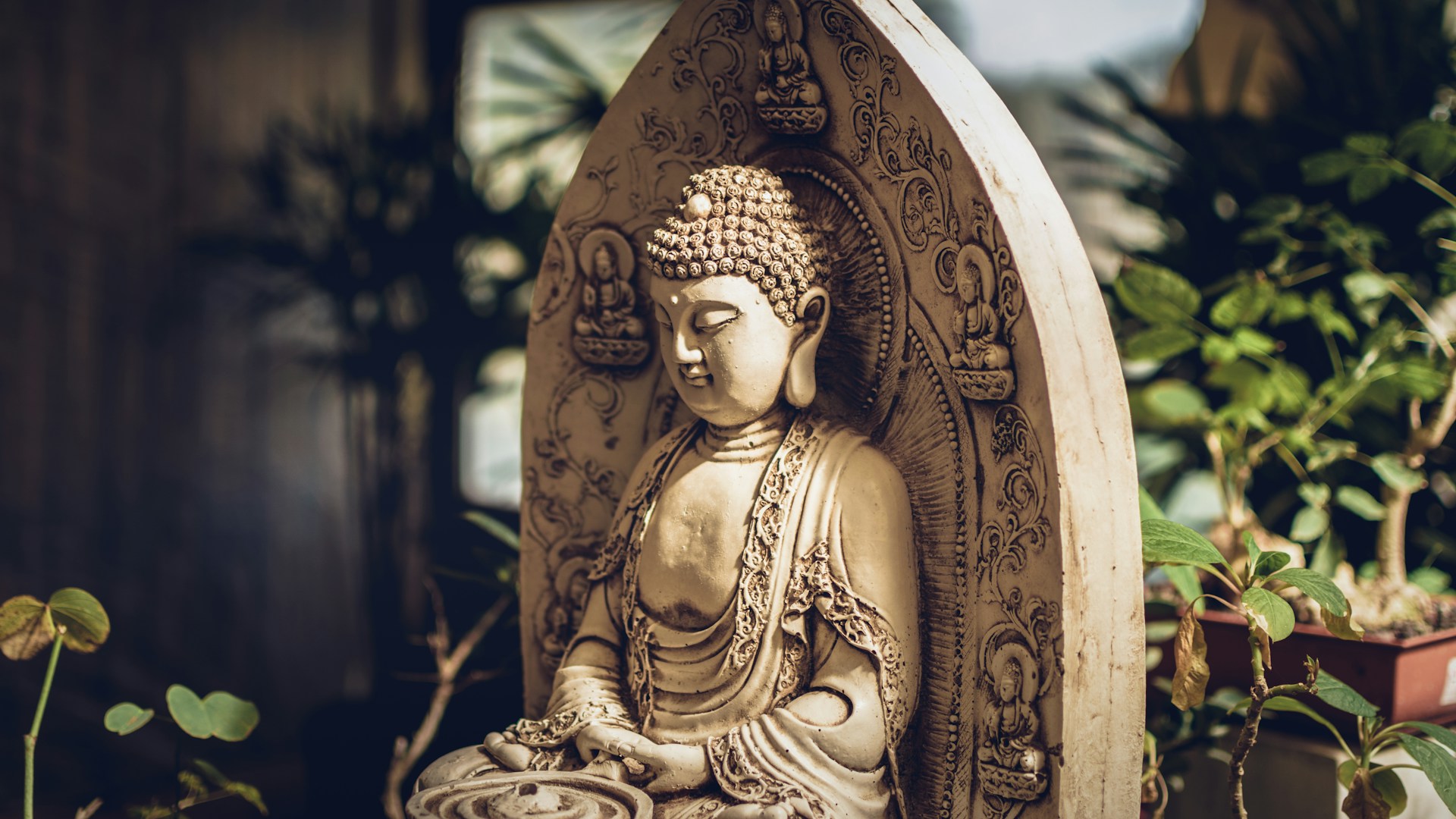 Buddha resting