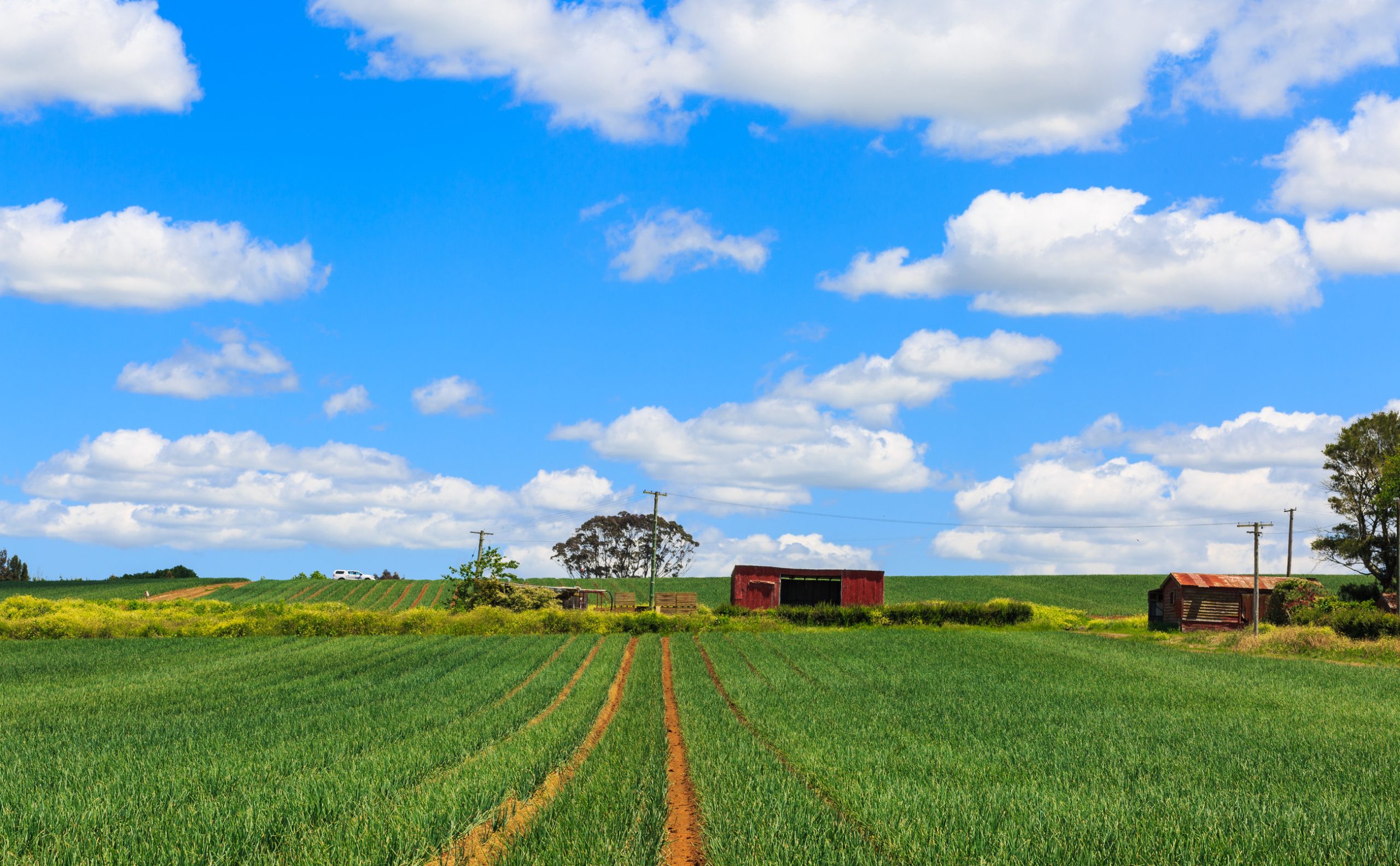 Farmland